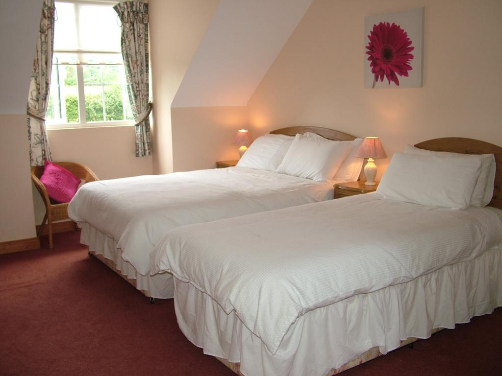 Quarry Ridge B&B Carlow Camera foto